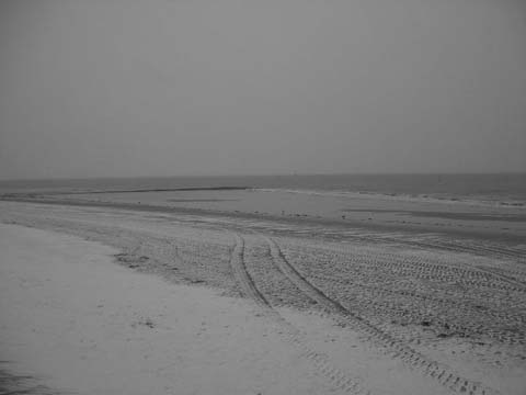 Graustufiges Foto vom nebeligen verschneiten Strand